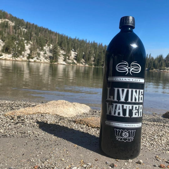 Bio-Photonic Water Bottle – OrAgonite